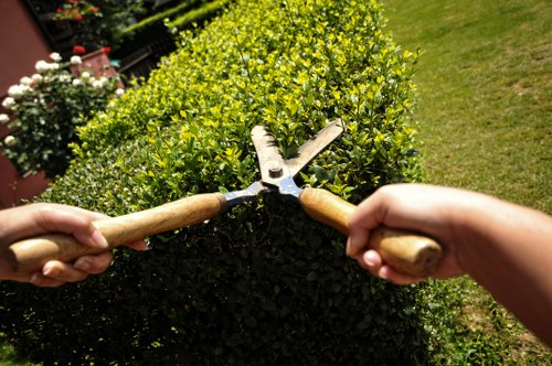 Professional landscaping team preparing a safe outdoor work area