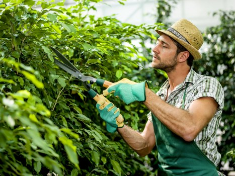 Final pricing summary for landscaping services in Teddington