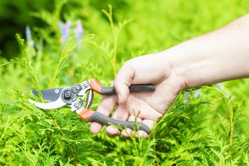 Elegant garden landscaping ideas for Teddington homes