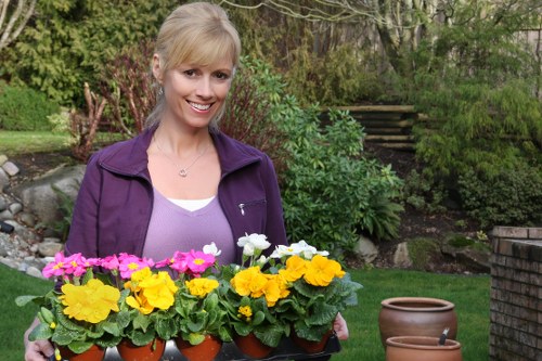 Inclusive landscaping services information for Teddington