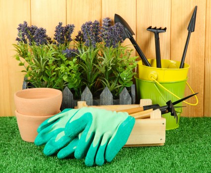 Preparation and planting stages of a soft landscaping project in Teddington