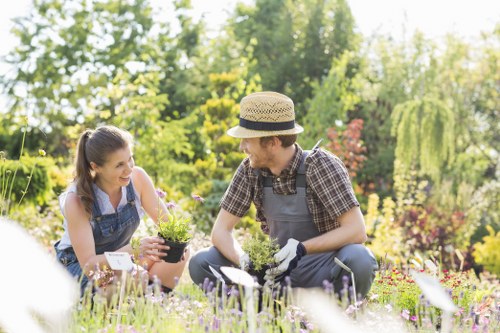 Local Teddington garden soft landscaping for a front or rear outdoor space